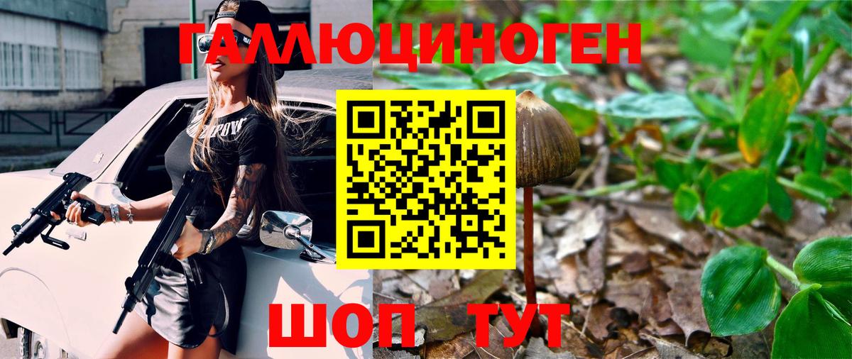 Галлюциногенные грибы мицелий Гусев