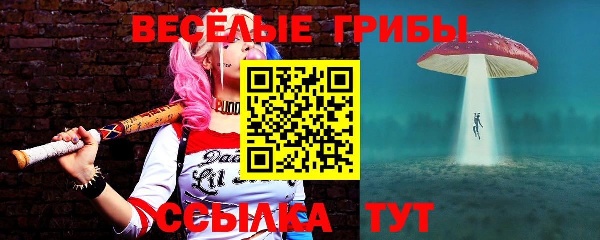 Гусев  Галлюциногенные грибы Cubensis  Вход с VPN 